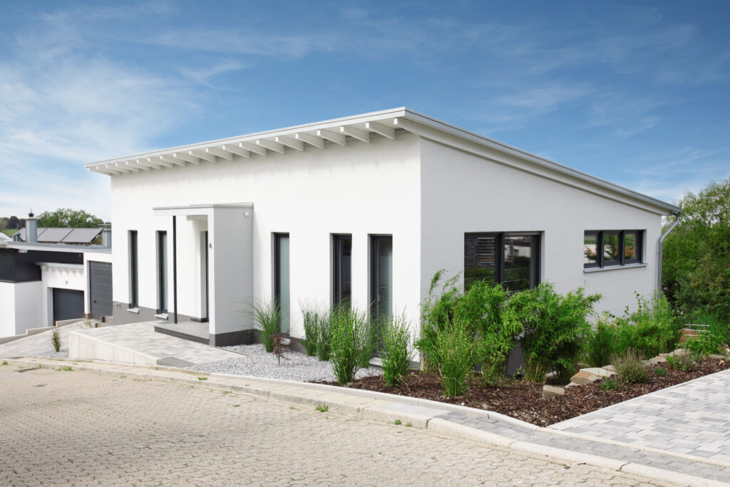 Muschiol 01    Large